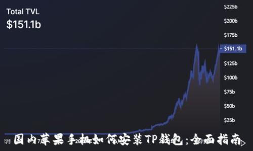   
国内苹果手机如何安装TP钱包：全面指南