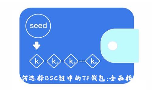 如何选择BSC链中的TP钱包：全面指南