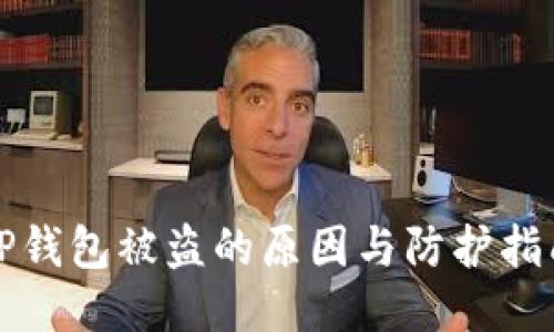 TP钱包被盗的原因与防护指南