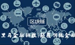 区块链黑马金融科技：颠