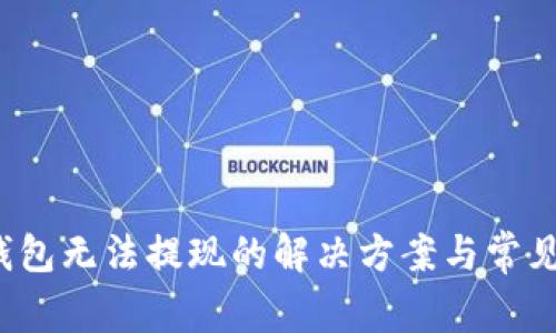 t p钱包无法提现的解决方案与常见问题