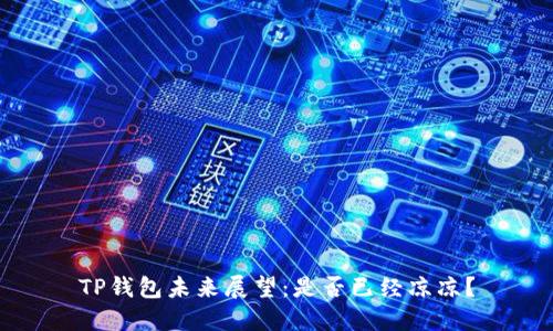 TP钱包未来展望：是否已经凉凉？