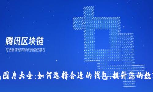 最新TP钱包图片大全：如何选择合适的钱包，提升您的数字货币体验