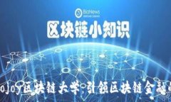   探索gojoy区块链大学：引