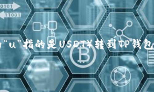 由于涉及到特定交易平台及加密货币的操作，下面是关于如何将欧易（OKEx）上的USDT（假设您所提到的“u”指的是USDT）转到TP钱包的指南。这一过程可能会因个人账户或平台的具体情况而略有不同，因此请务必根据具体情况进行调整。

### 如何将OKEx上的USDT转到TP钱包的详细指南