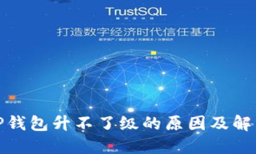 探究TP钱包升不了级的原因及解决方案