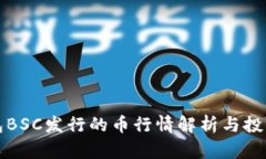 TP钱包BSC发行的币行情解析