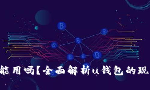 u钱包还能用吗？全面解析u钱包的现状与未来