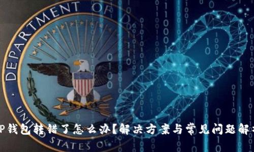 TP钱包转错了怎么办？解决方案与常见问题解析