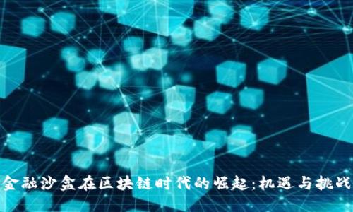 金融沙盒在区块链时代的崛起：机遇与挑战