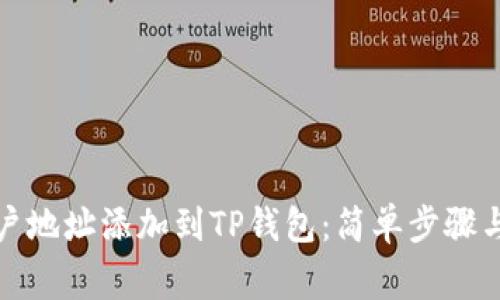 如何将账户地址添加到TP钱包：简单步骤与注意事项