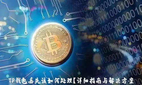 
TP钱包丢失该如何处理？详细指南与解决方案