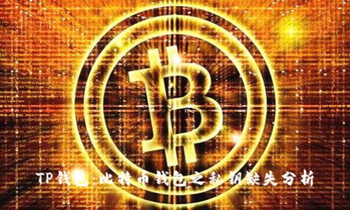 TP钱包：比特币钱包之私钥缺失分析
