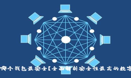 币圈哪个钱包最安全？全面解析安全性最高的数字钱包