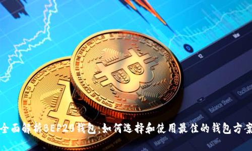 全面解析BEP20钱包：如何选择和使用最佳的钱包方案