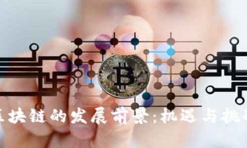 金融区块链的发展前景：机遇与挑战并存