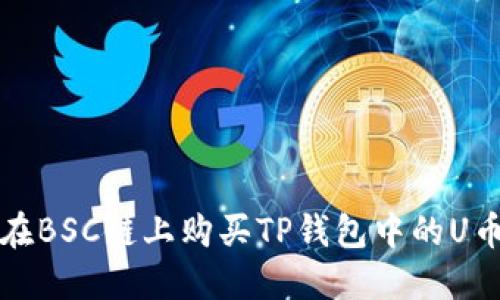 如何在BSC链上购买TP钱包中的U币详解