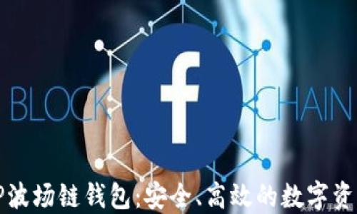 
全面了解TP波场链钱包：安全、高效的数字资产管理方案