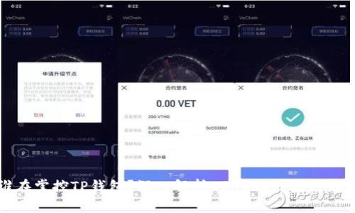 谁在掌控TP钱包？深入解析DPOS与区块链治理