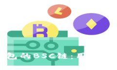 深入解析TP钱包的BSC链：用