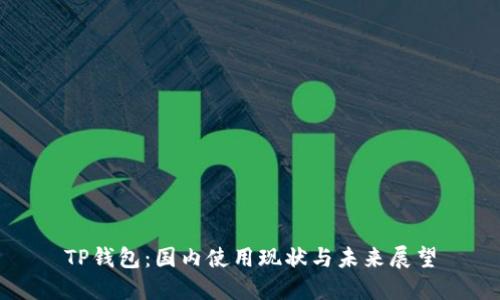 TP钱包：国内使用现状与未来展望