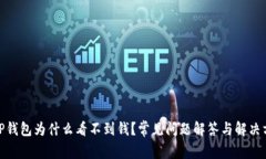 : TP钱包为什么看不到钱？