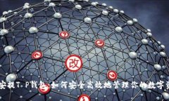 币安提T P钱包：如何安全