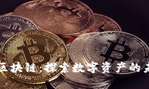 全球顶级金融区块链：探索数字资产的未来与金融革新