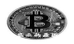 : TP钱包价格不显示的原因