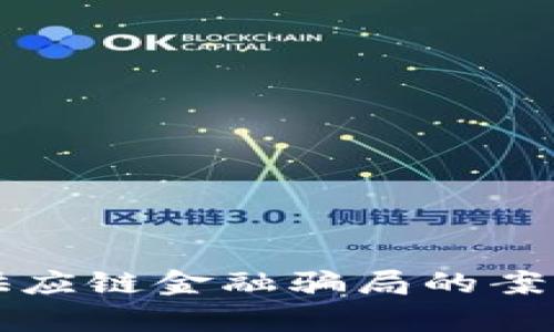 揭秘区块链供应链金融骗局的案例分析与对策