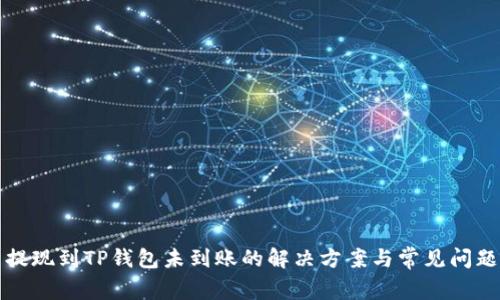 火币提现到TP钱包未到账的解决方案与常见问题解析