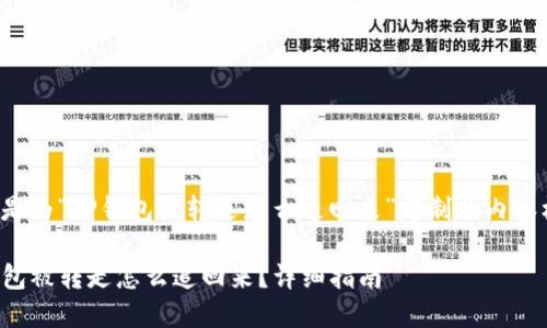 下面是为“TP钱包被转走怎么追回来”定制的内容框架。

TP钱包被转走怎么追回来？详细指南