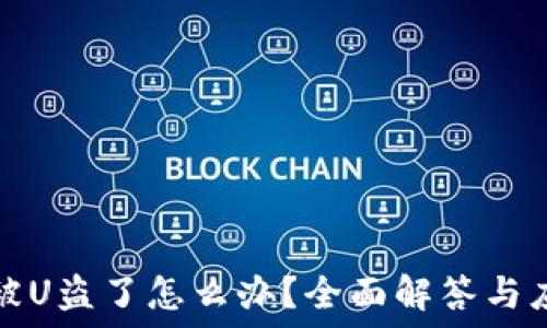   
TP钱包被U盗了怎么办？全面解答与应对策略