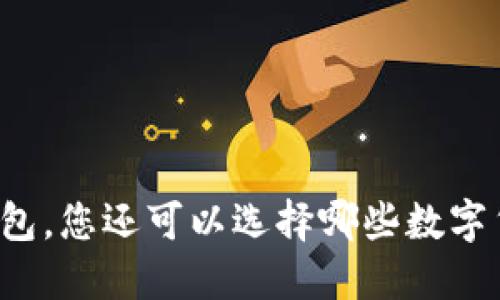 除了TP钱包，您还可以选择哪些数字货币钱包？