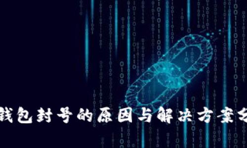 TP钱包封号的原因与解决方案分析