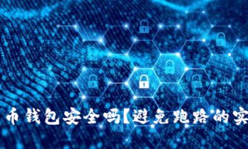 虚拟货币钱包安全吗？避免跑路的实用指南