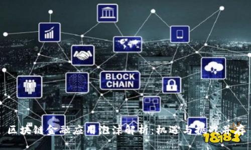 区块链金融应用泡沫解析：机遇与挑战并存