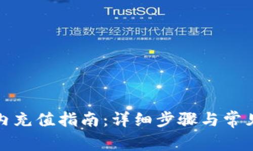 TP钱包国内充值指南：详细步骤与常见问题解答