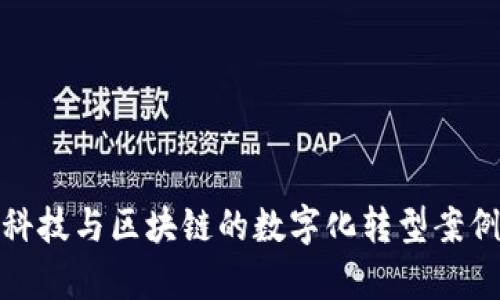 金融科技与区块链的数字化转型案例分析