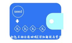 : tP钱包转币打包不动会退