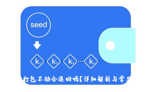 : tP钱包转币打包不动会退回吗？详细解析与常见问题解决方案