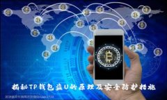 揭秘TP钱包盗U的原理及安
