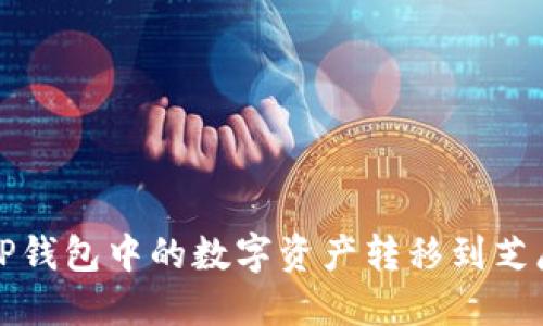 如何将TP钱包中的数字资产转移到芝麻交易所
