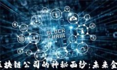 揭开新大陆金融区块链公