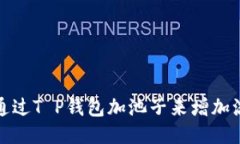 如何通过T P钱包加池子来