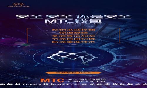 全面解析Topay钱包APP：一站式数字钱包解决方案